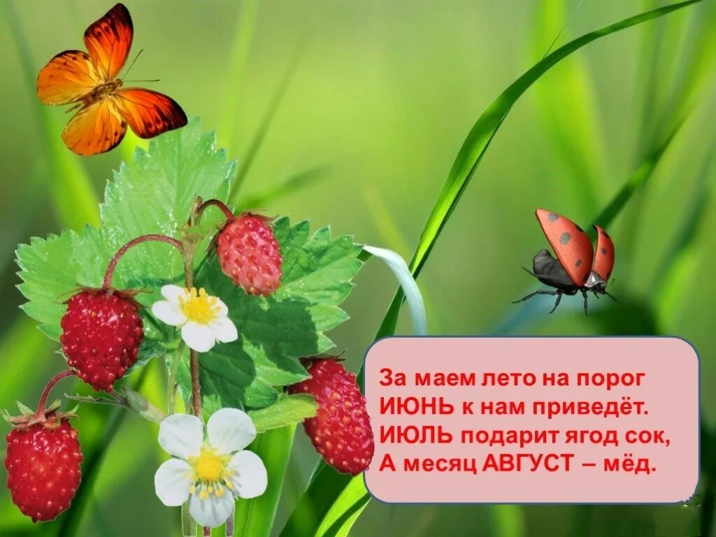 Сколько осталось в начало июля. Июль картинки со стихами. Стих про лето. Стихи про начало лета. Красивые слова о лете.