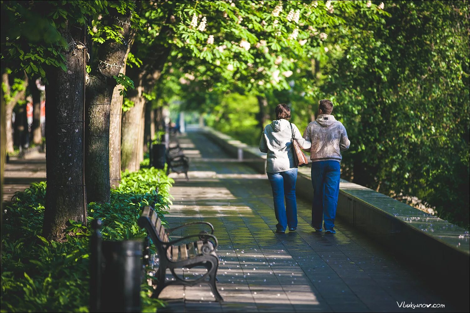 утренняя и вечерняя прогулка. вечерняя прогулка. вечерняя прогулка. прогулка в одиночестве. прогулка зимним вечером.
