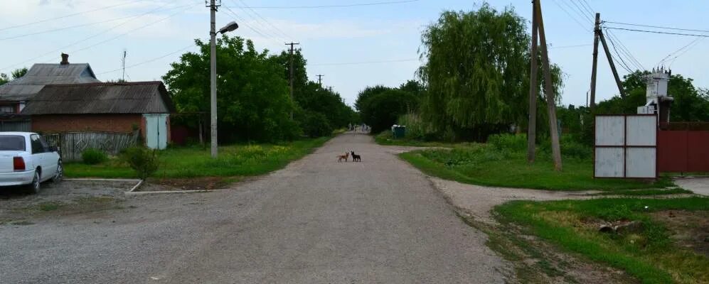 Поселок Заря Краснодарский край. Краснодарский край Красноармейский район пос Заря. Краснодарский край Красноармейский район посёлок Первомайский. Пос. Заря (Красноармейский район). Первомайский поселок октябрьский