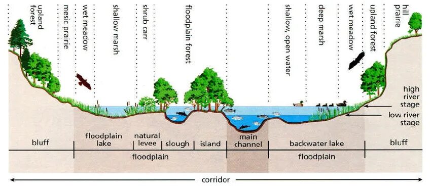 Глубина реки. Cross Section of the River. Измерение ширины и глубины реки. 41 Метр глубина реки картинки.