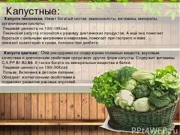 Пекинская капуста 100 грамм