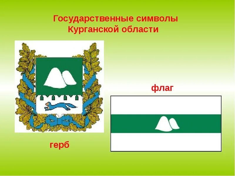 Символы Кургана и Курганской области. Герб и флаг Курганской области. Символы Курганской области герб флаг. Герб Зауралья Курганская область. Когда образовалась курганская область