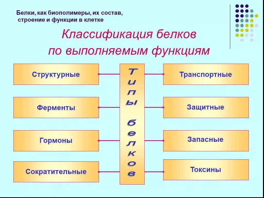 Биополимерами среди перечисленных веществ являются