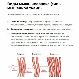 Какие типы тканей присущи человеку