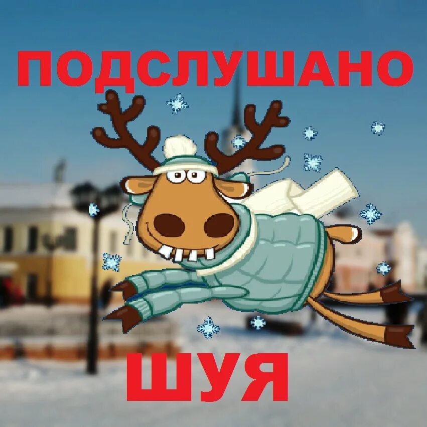 Подслушано. Подслушано в Шуе. Шуя подслушано ВК. Подслушано в Шуе новости.