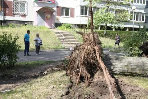 Ураган в городе