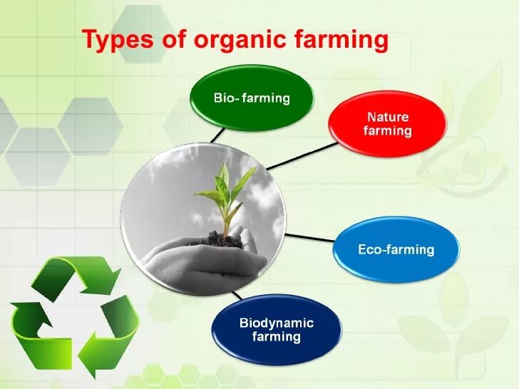 Conventional farming vs organic farming. Organic farming methods. Organic farming methods. Organic farming текст. What is organic farming.