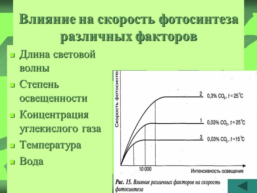 От какого фактора зависит поглощение воды растением. Факторы влияющие на скорость фотосинтеза. Факторы влияющие на фотосинтез. Что влияет на скорость фотосинтеза. Зависимость фотосинтеза от факторов внешней среды.