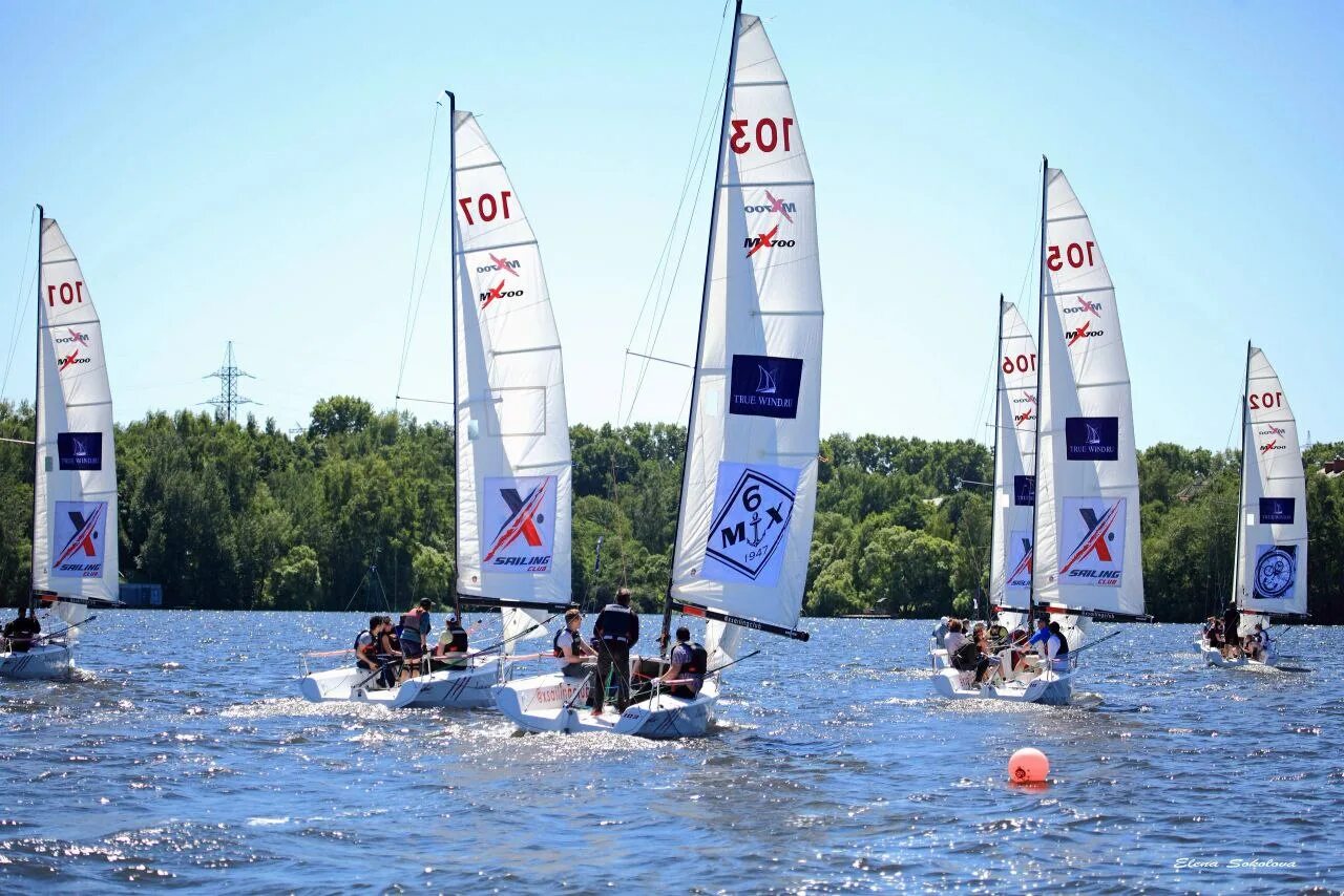 X sailing. Стефания елфутина рио 2016. Крейсерская парусная яхта. X sailing. Sail gp sportsman.