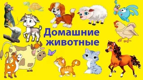 Животные в доу презентация