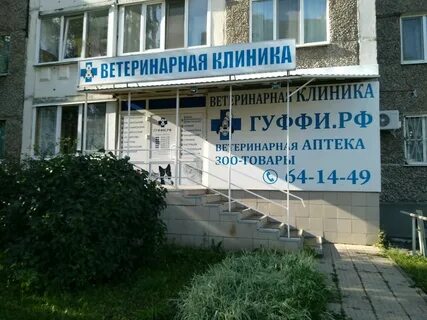 Вет гуффи ижевск