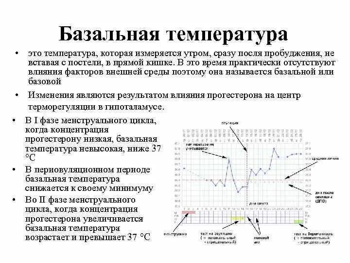 Как мерить базальную температуру