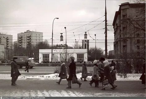 Старый сокол