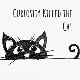 Переведи the cat