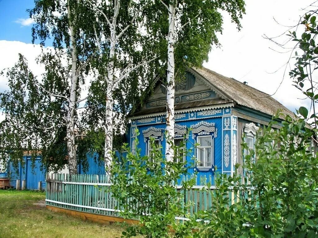 Дом под березами. Деревенский домик. деревенский дом с березой. деревенский домик с березкой. береза у дома.