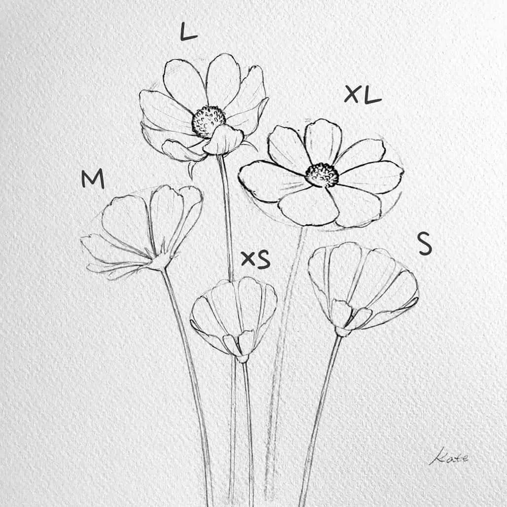 Draw easy trace to sketch
