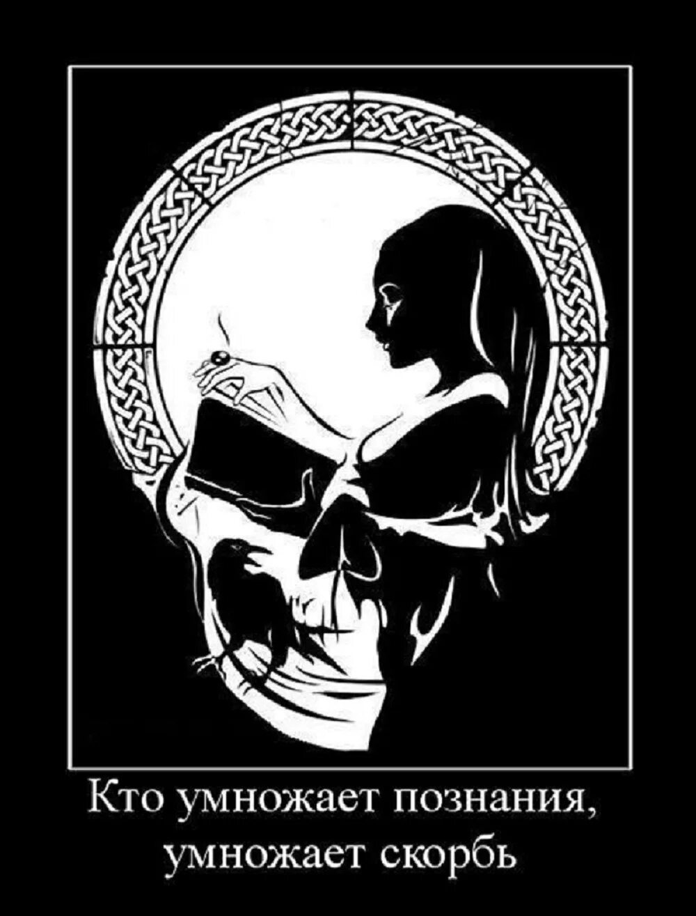 Большие знания порождают. Много знаний много печали. Баран демотиватор. Много мудрости много печали. Во многих знаниях много печали.