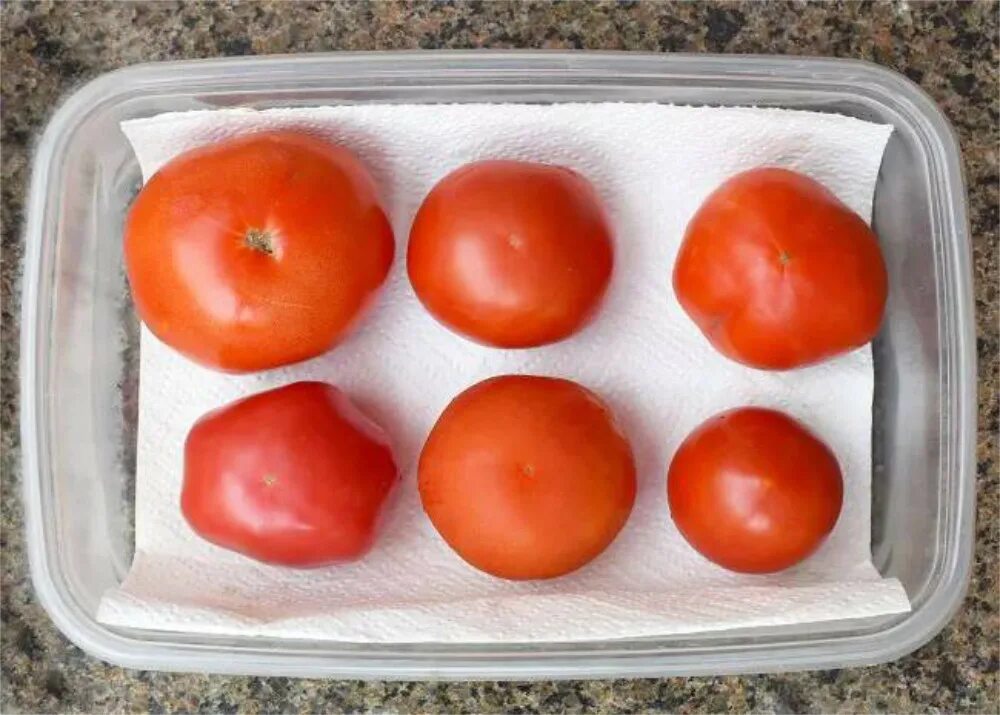 Томаты в контейнерах. Помидоры в холодильнике. Хранение томатов. Протухшие помидоры. Помидоры в холодильнике можно