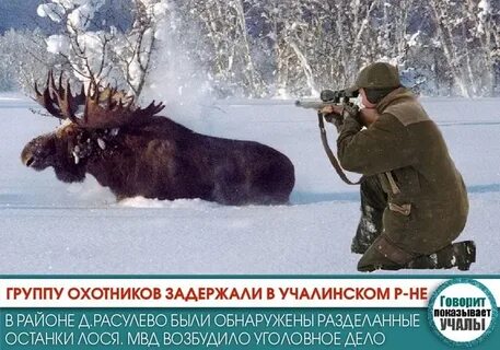 Охотники всматривались в след этого удивительного зверя