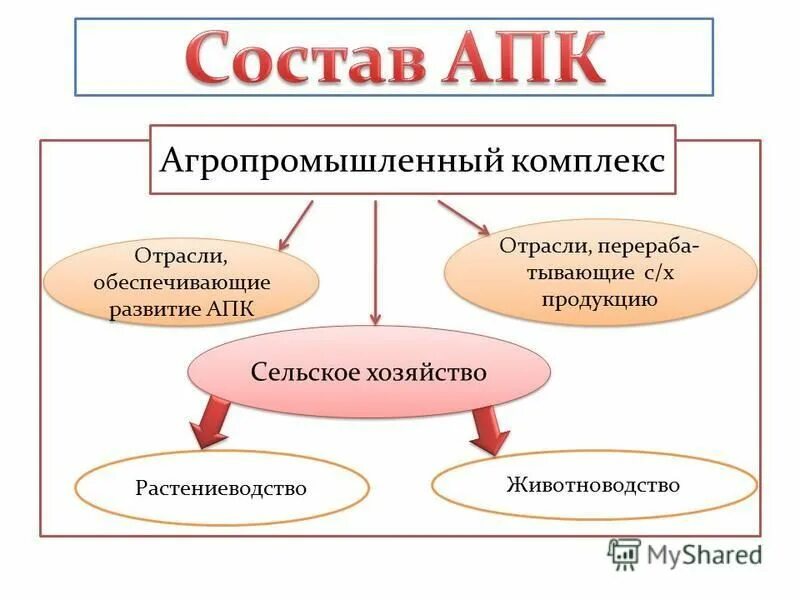 сферы агропромышленного комплекса. агропромышленный комплекс россии. агропромышленный комплекс 4 сферы. 9 класс. агропромышленный комплекс отрасли обеспечивающие.