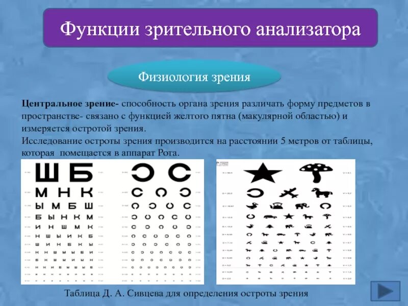 Основные функции зрения. Острота зрения, методы исследования зрительного анализатора. Методы изучения функций зрительного анализатора поля зрения. Методы исследования зрительных функций глаза. Методика определения остроты зрения физиология.