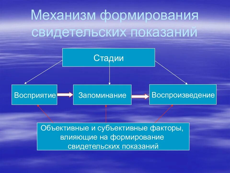 4 этапа восприятия. Механизм формирования показаний свидетеля. Процесс формирования показаний. Стадии формирования свидетельских показаний. Стадии процесса восприятия.