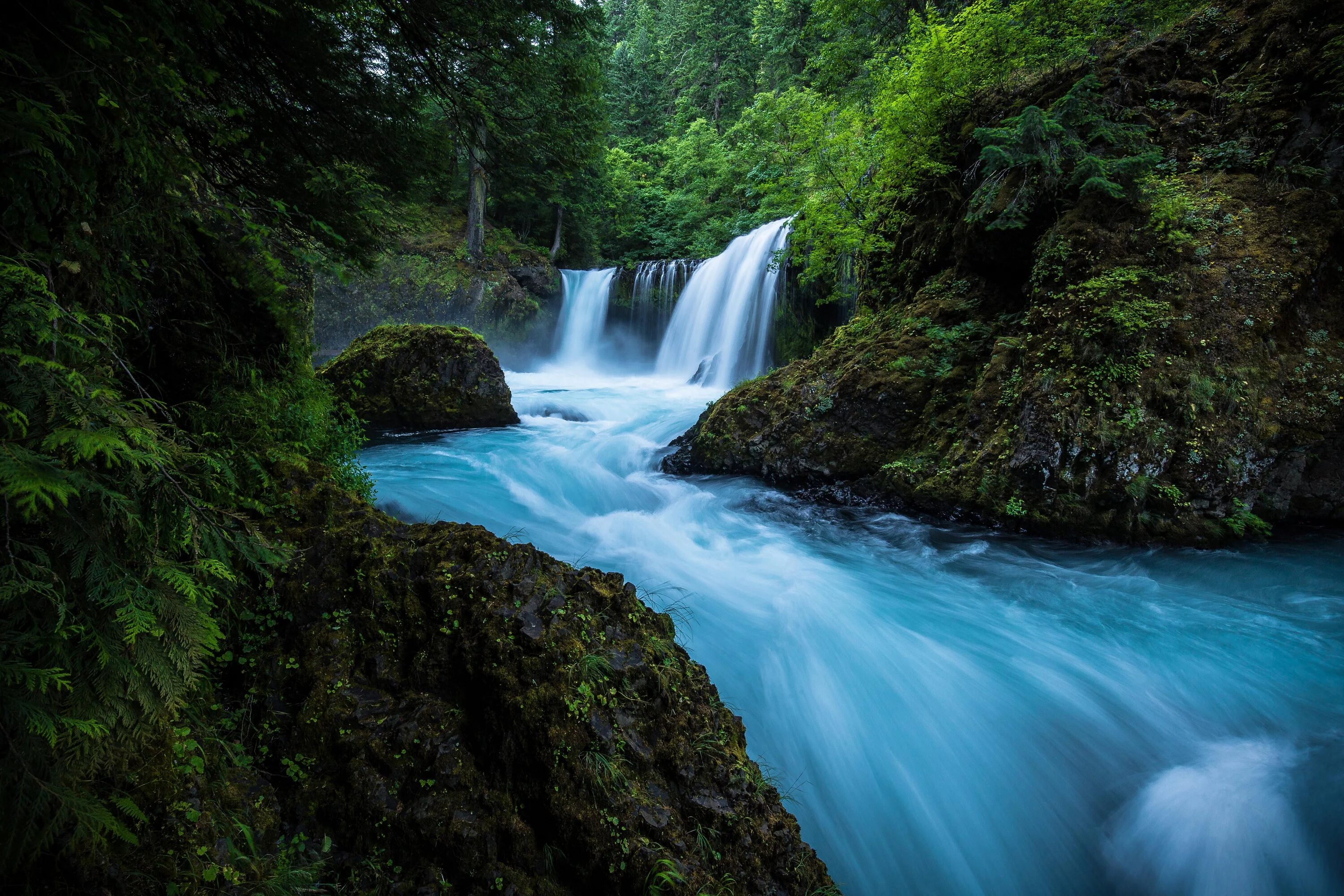 Бесплатные видео обои на телефон. Горная река. Водопад. Природа водопад. Красивые водопады.