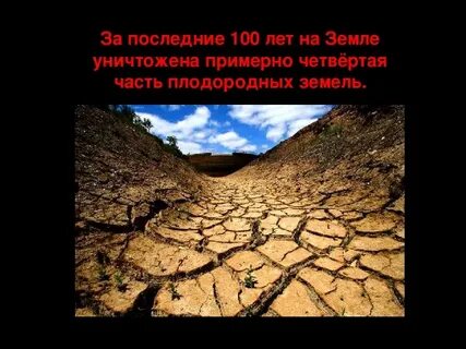 Погубить на землю