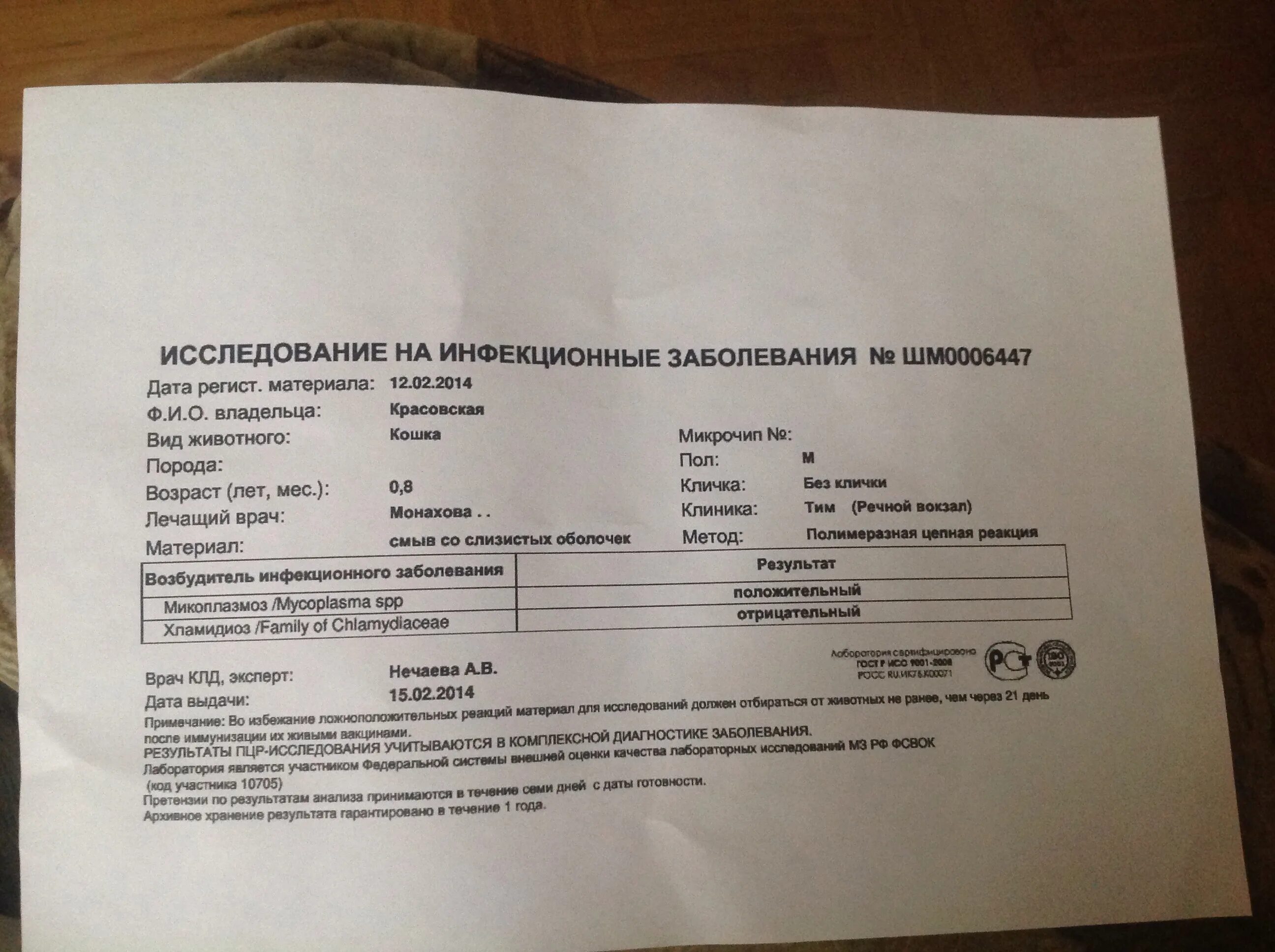 Микоплазмоз у кошек передается. Пцр микоплазмоз. микоплазмоз анализ.
