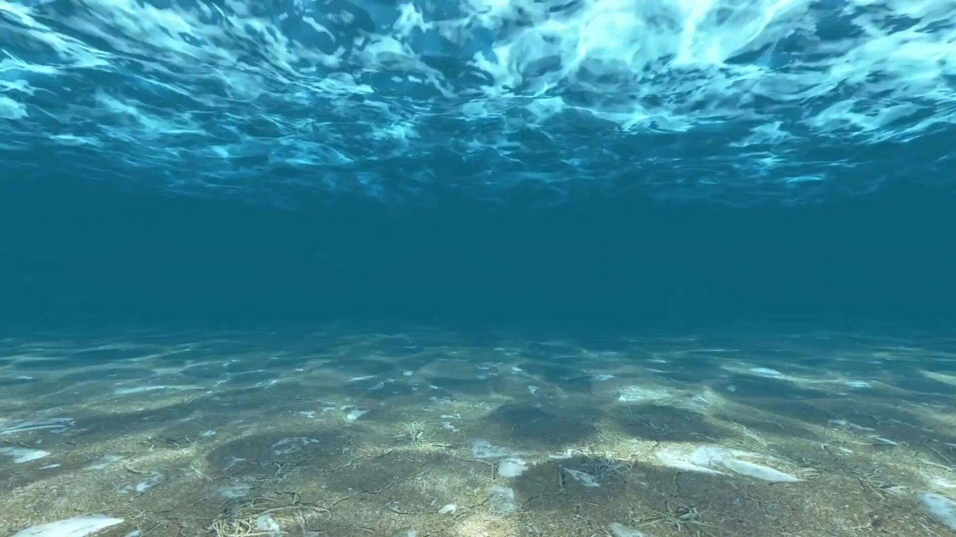 Дно океана. Дно моря. Глубина. Глубина. Океан под водой.