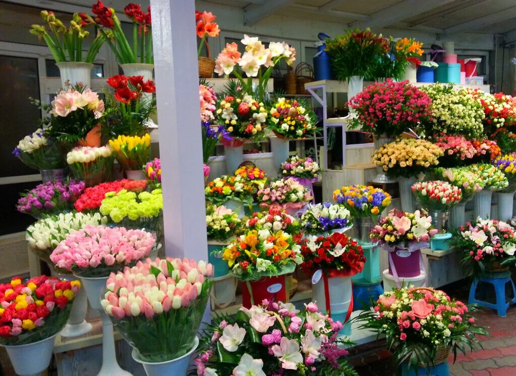 Цветы магазинные. Ассортимент цветочного магазина. Цветочный прилавок. Цветы в цветочном магазине.