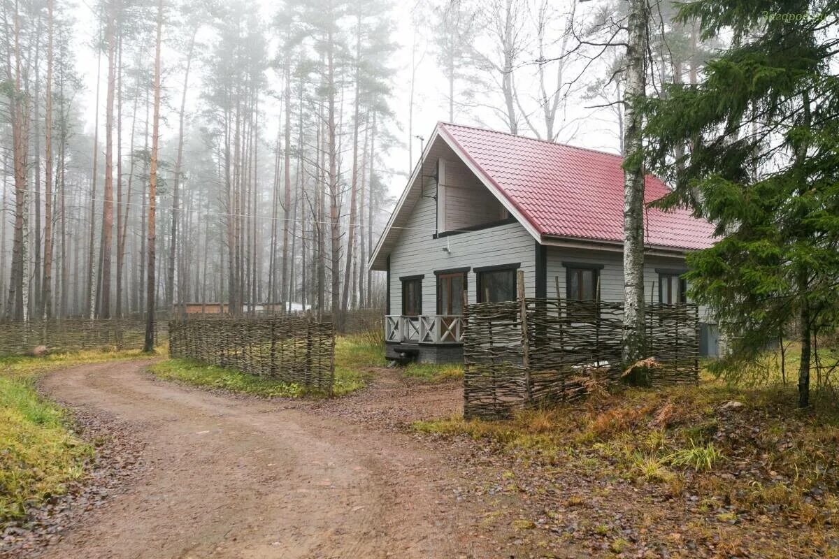 Майнило ленинградская область. Кп майнила. Майнила деревня. Майнило ленинградская область. Поселок майнила.