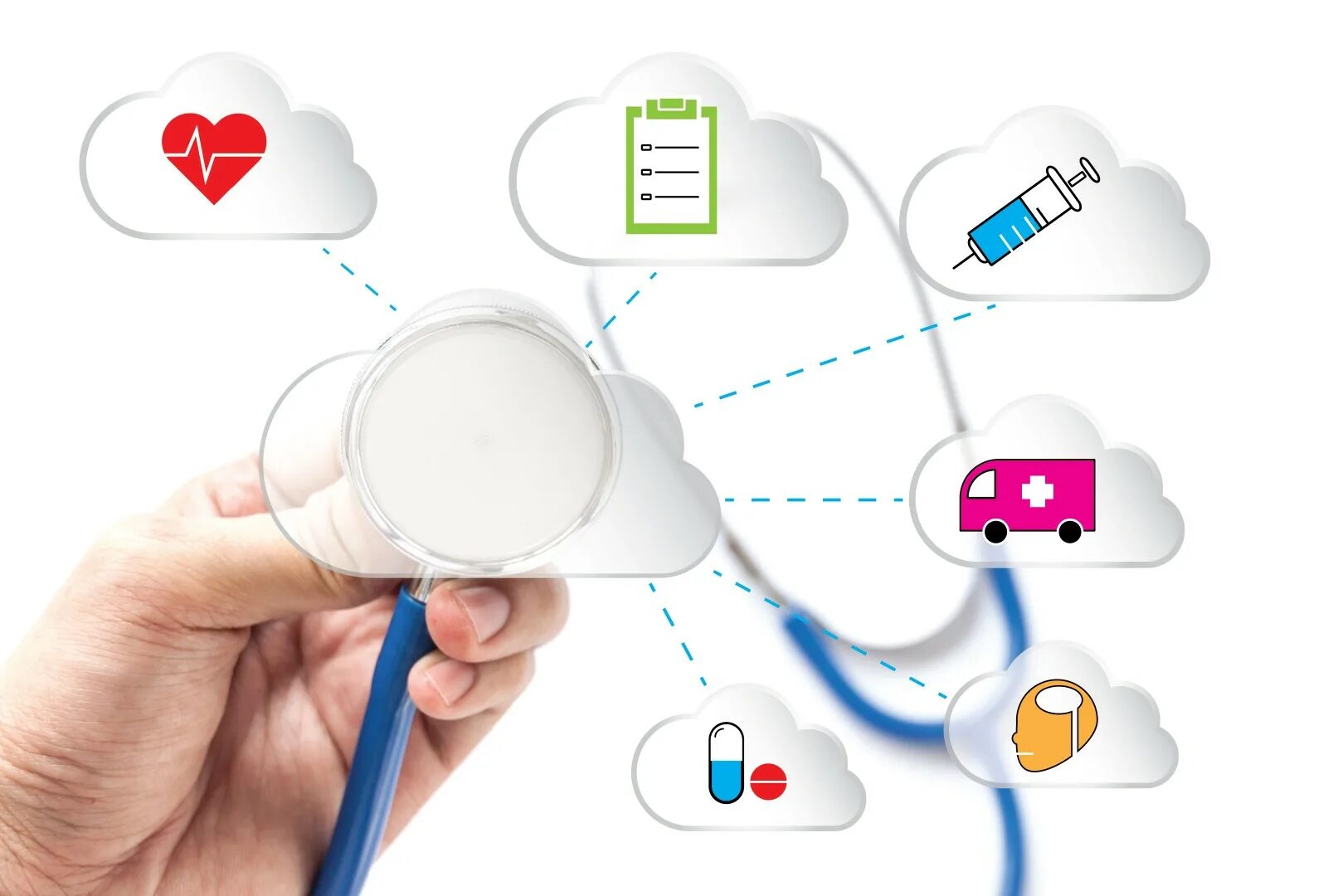 Link vetmanager cloud