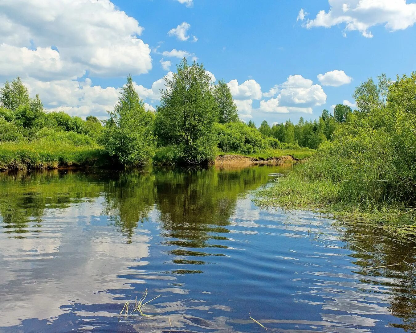 Река пята. Река тарбуга. река малый койсуг. лопань (река). река салмыш.