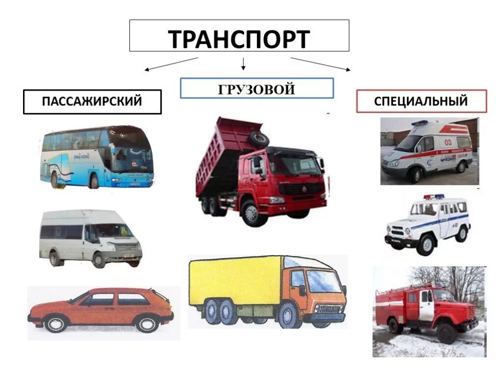 Специальный транспорт конспект. Грузовой транспорт для детей. Виды автомобилей легковые грузовые. Транспорт пассажирский грузовой специальный. Специальный транспорт для детей.