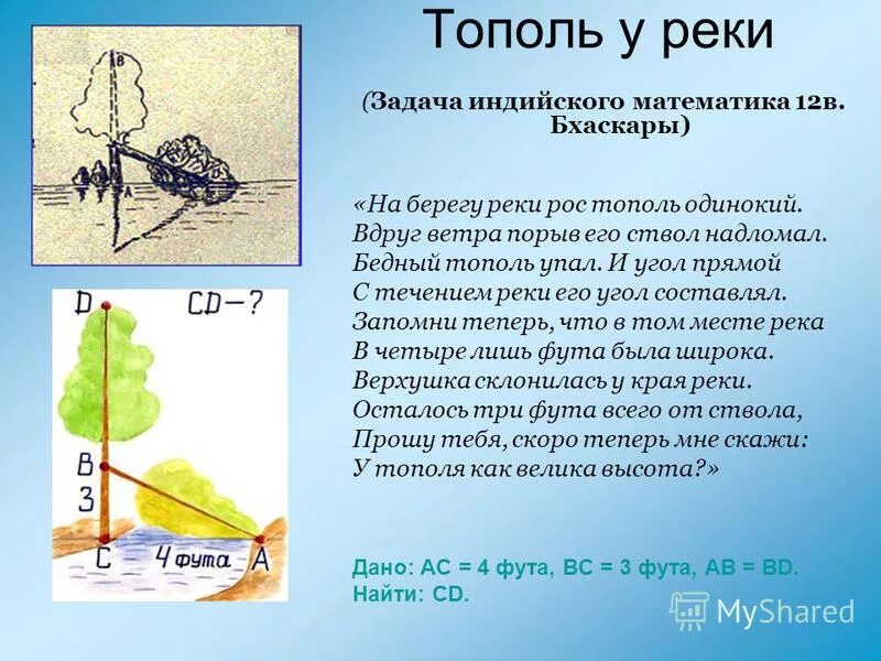 Задачи на движение по реке. Волк коза и капуста задача. Протяженность волги в км. Задача на реку с ответом. Задачи по математике на течение и против течения реки.