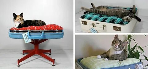 Сделай кошку старее