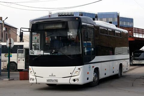 Автобус 232 спб