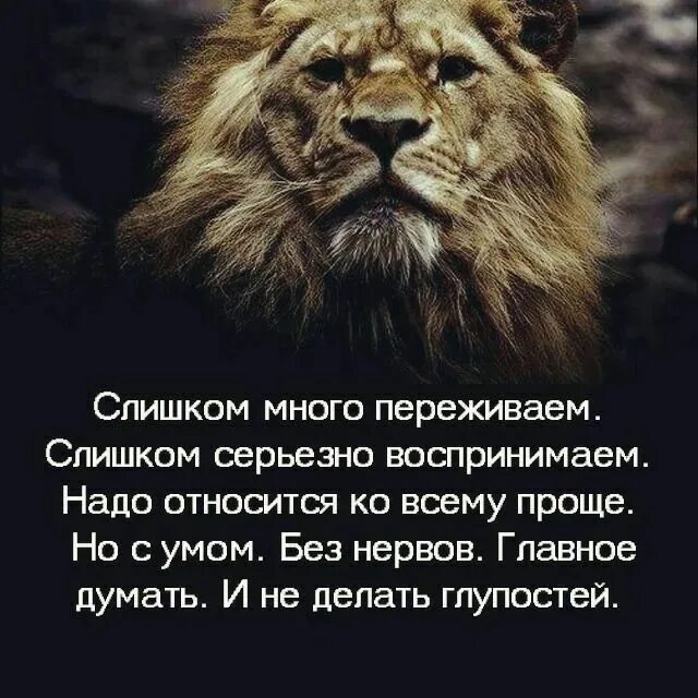 Воспринимать жизнь как должное