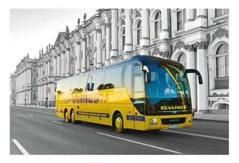 Москва питер маршрутка