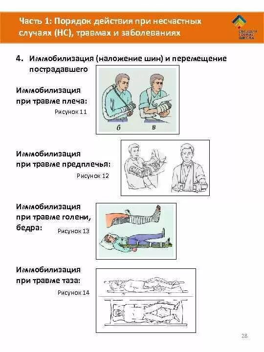 Действия при возникновения несчастного случая. Алгоритм действий при возникновении несчастного случая. Порядок действий при несчастном случае памятка. Действия сотрудника при несчастном случае. Порядок действий при несчастных случаях и травмах.