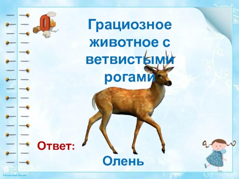 Существительное к слову олень. Вопросы про оленя. Вопросы про оленя с ответами. Вопрос на вопрос олень.