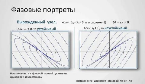 Фазовый портрет