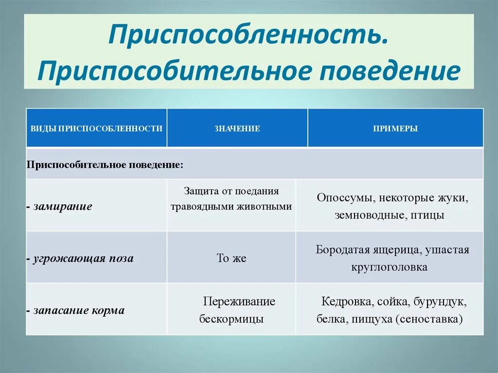 Пример адаптации организмы таблица