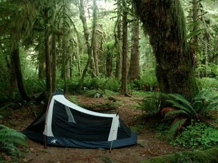 Where was the camp