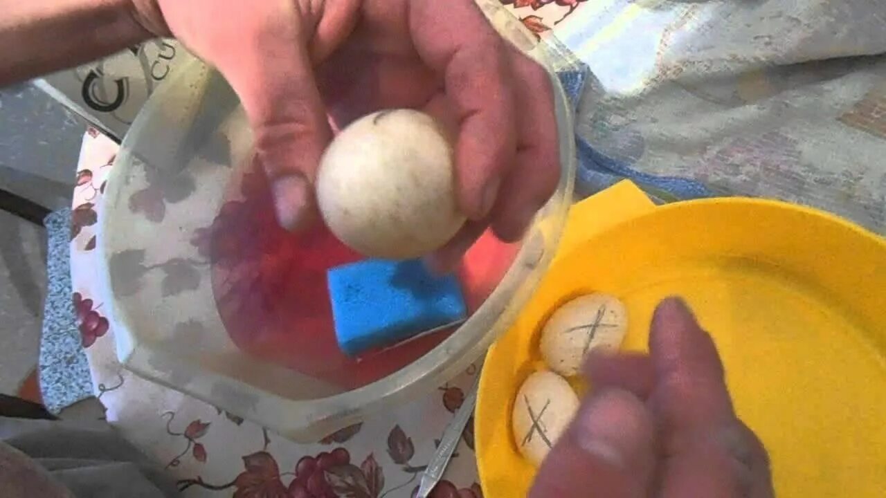 Закладка утиных яиц в инкубатор Золушка. Утиные яйца в инкубаторе. Закладка яиц на инкубацию. Отбор яиц для инкубации. Почему лопаются яйца