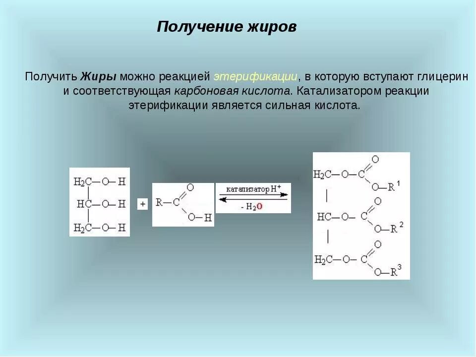 Получение жиров. Жиры способы получения. Реакция получения жиров. Способы получения жиров. Триолеат глицерина вступает в реакцию