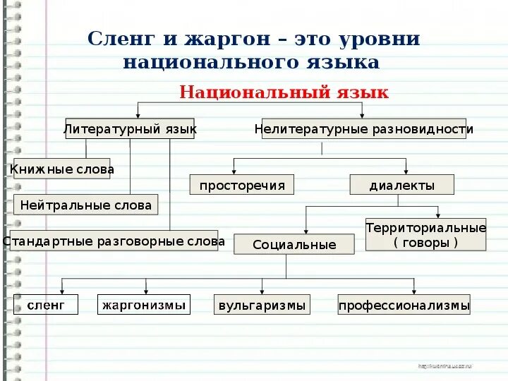 Составляющие национального языка. Национальный и литературный язык. Структура литературного языка. Структура национального языка. Национальный язык и литературный язык.