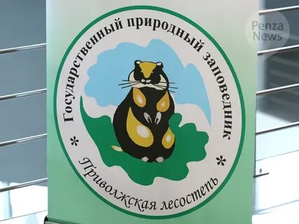 Эко пенза