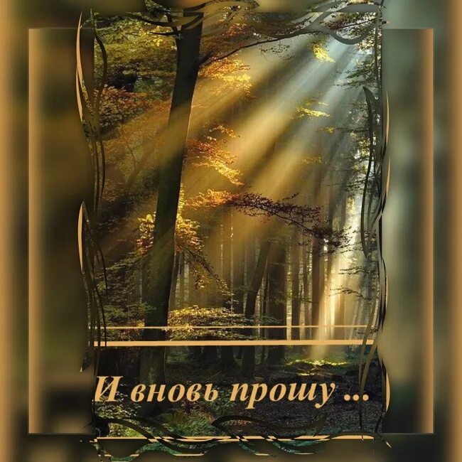 Прошлое мем. Снова я прошу. Снова я прошу. Я прошу у всех прощения. Снова я прошу.